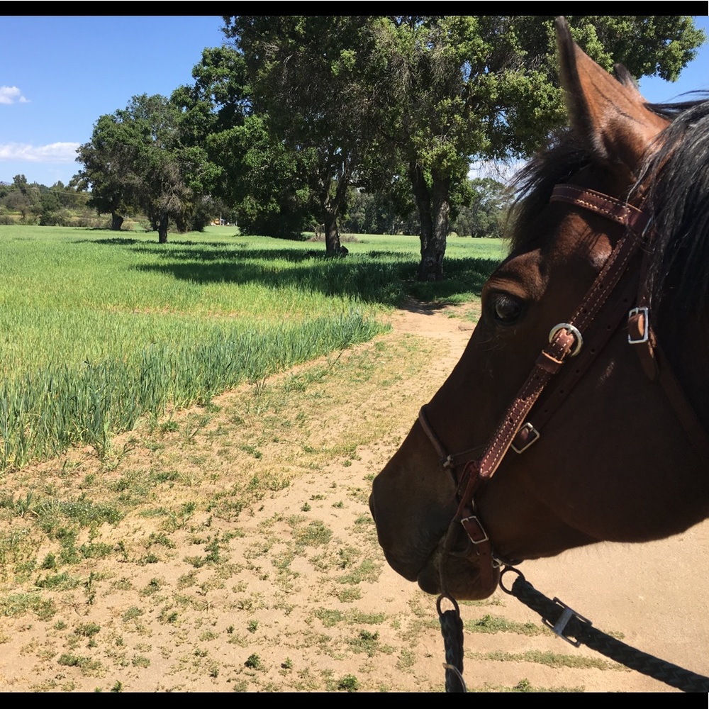 Meet your Posher, Marika